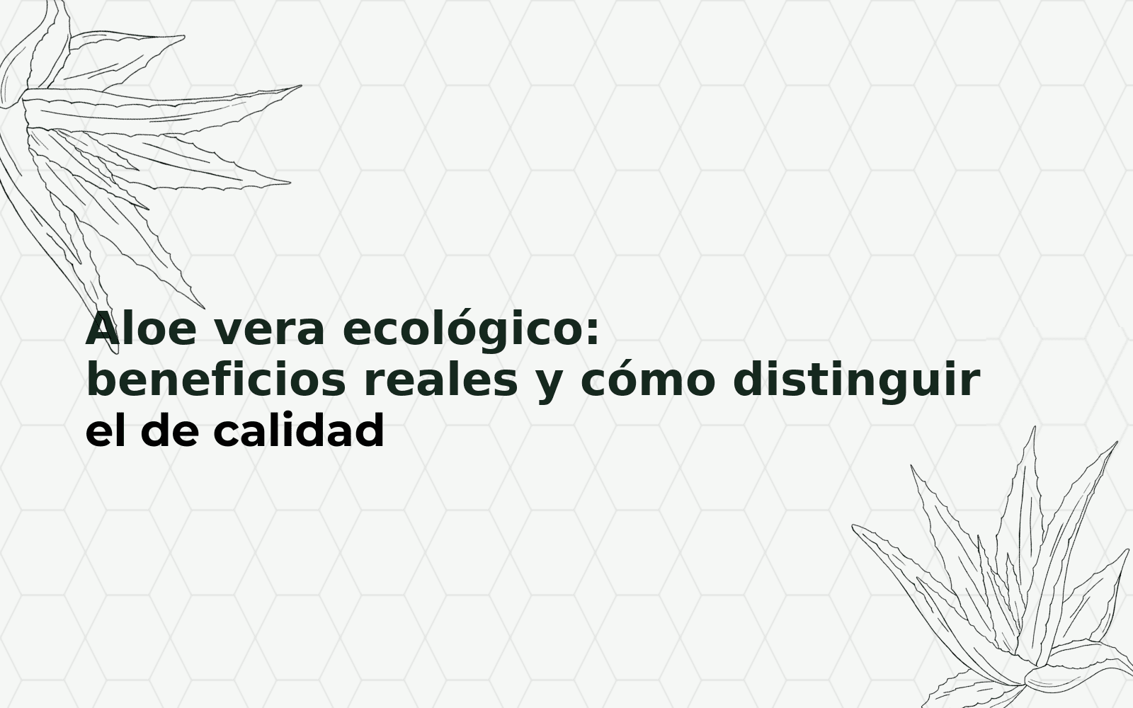 Aloe vera ecológico: beneficios y cómo reconocer un extracto de calidad.