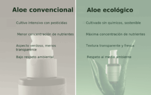 Comparativa entre aloe convencional y aloe ecológico: cultivo, concentración y respeto ambiental.